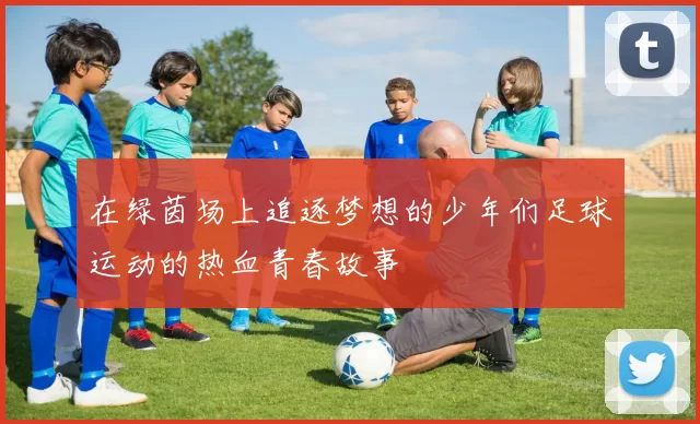 在绿茵场上追逐梦想的少年们足球运动的热血青春故事