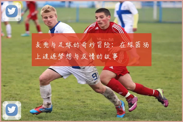 麦兜与足球的奇妙冒险：在绿茵场上追逐梦想与友情的故事