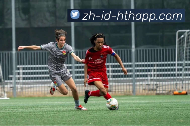 华体会App品牌故事